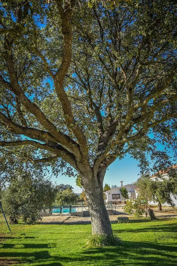 Recreo San Andres Guest House Ronda